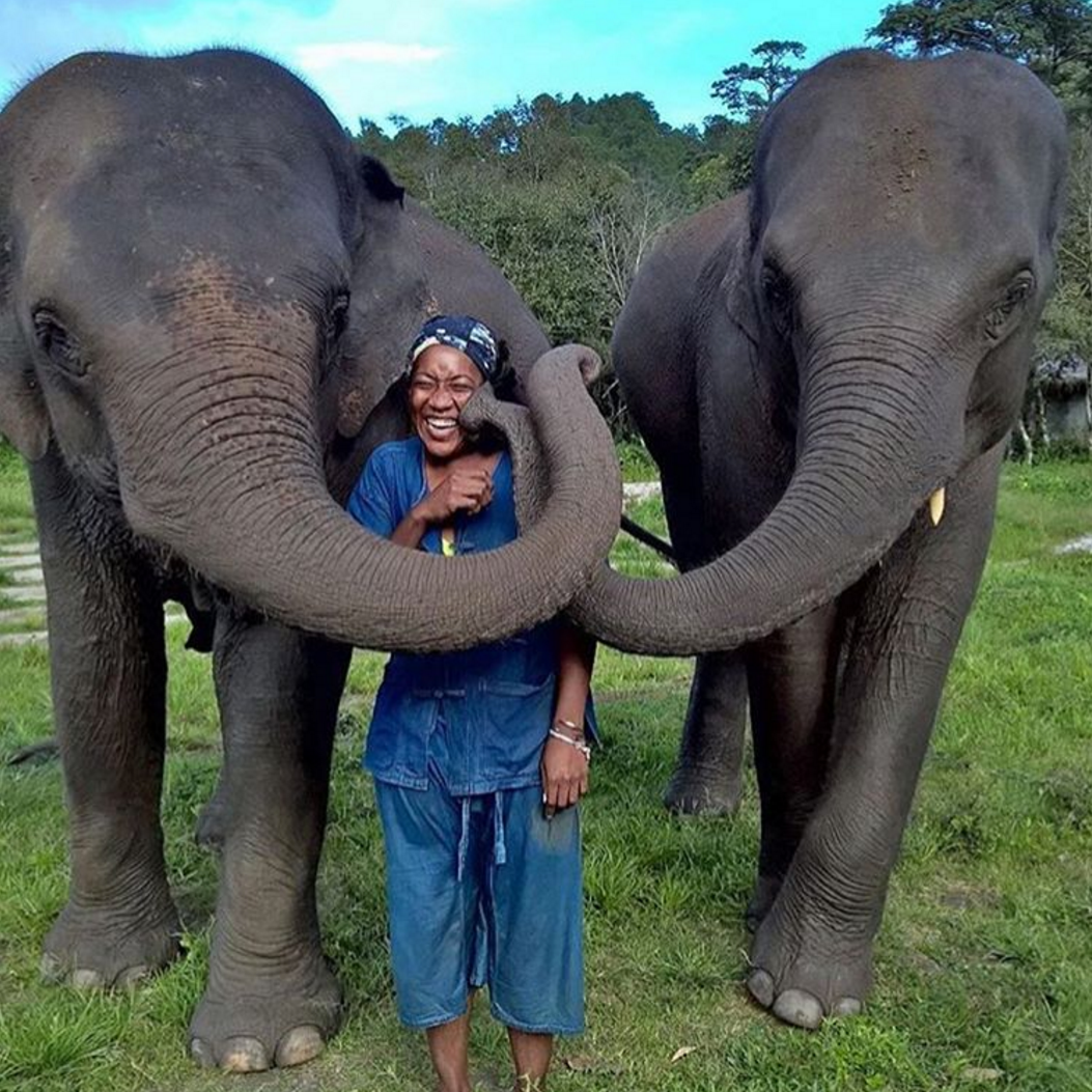 The 15 Best Black Travel Moments You Missed This Week: Sweet Elephant Kisses in Thailand
